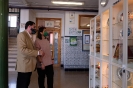 Visita delegada