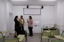 Visita delegada