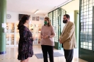 Visita delegada